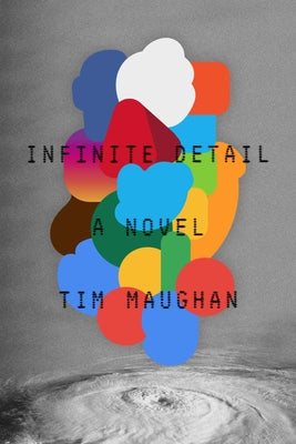 Infinite Detail: A Novel