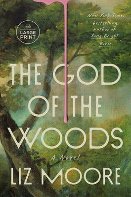 The God of the Woods: A Novel